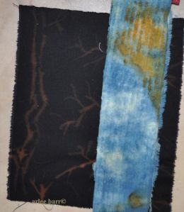 first with eco river b