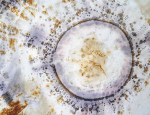 double moon mandala b