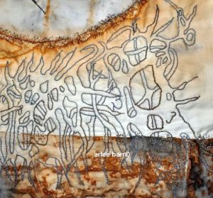 sstf-root-waves-sept-30-sm