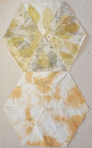 ecoprint hexes C