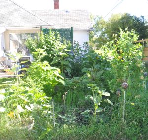 garden aug 15 2016 sm