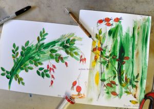 rosehips sketch b