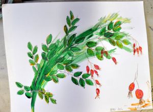 rosehips sketch