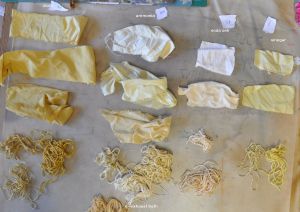 rumex seed stalk results