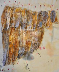 strange soul take flight work in progress 2013