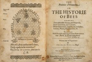 The Feminine Monarchie