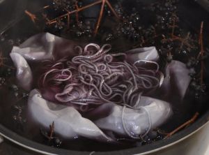 privet-berries-dyebath-a