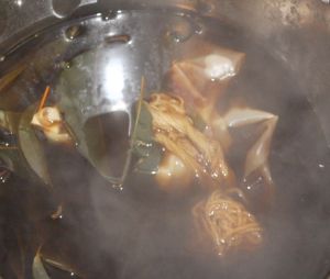 privet-leaves-and-branches-dyebath-a