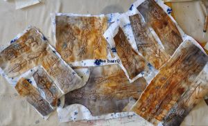 arlee barr, embroidered feathers