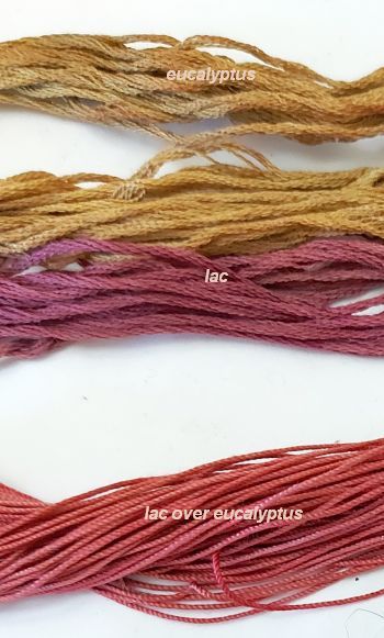 This image has an empty alt attribute; its file name is euc-and-lac-and-combo-b-1.jpg